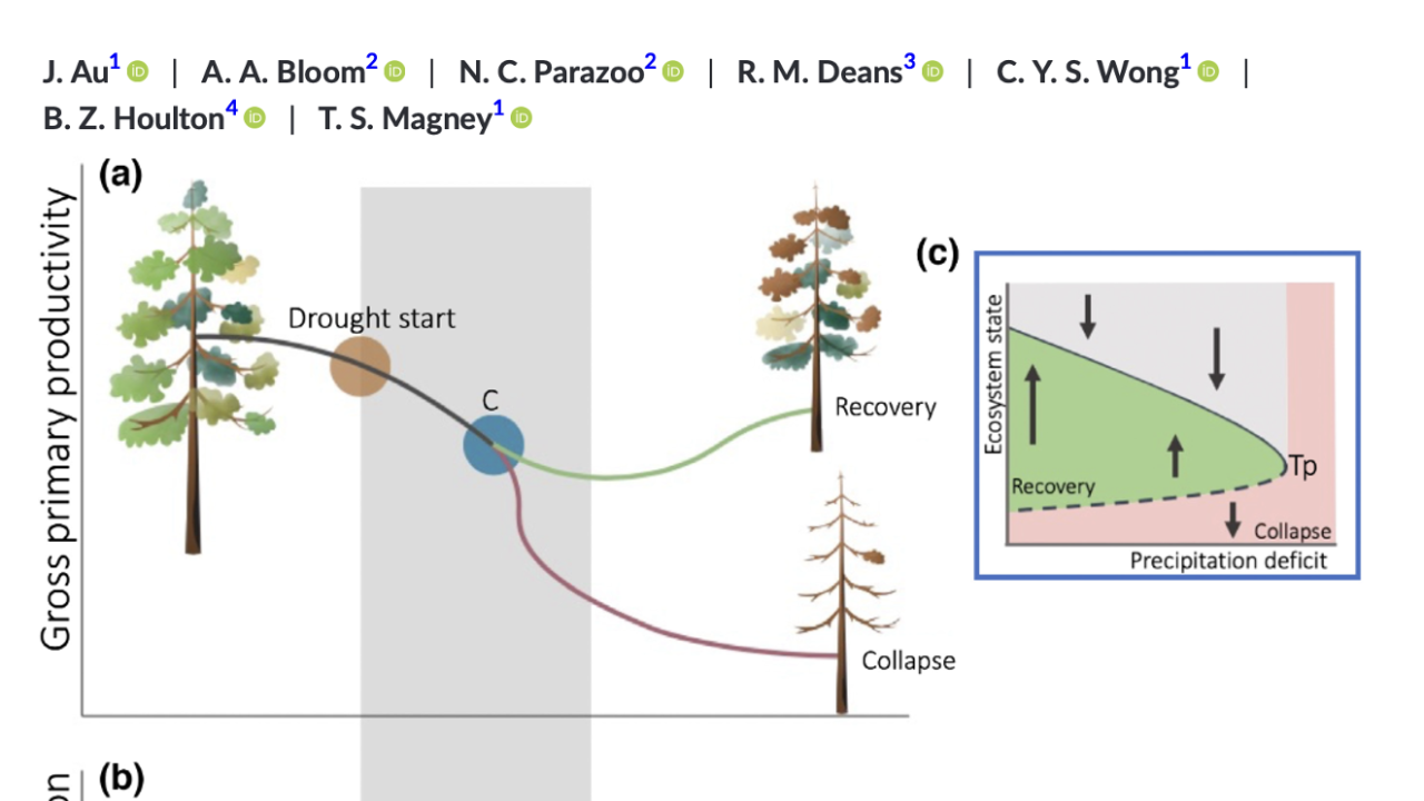 New paper on droughtinduced tipping points led by Jessie Au! Plant